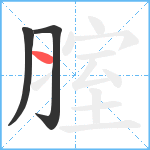 腟笔顺分解图片3