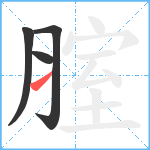 腟笔顺分解图片4