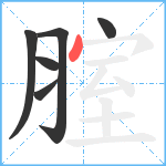 腟笔顺分解图片6