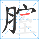 腟笔顺分解图片8