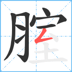 腟笔顺分解图片9