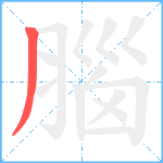 腦笔顺分解图片1