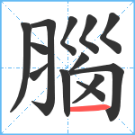 腦笔顺分解图片13