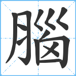 腦笔顺分解图片14