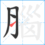 腦笔顺分解图片4