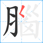 腦笔顺分解图片5