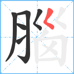 腦笔顺分解图片6