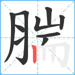 腨笔顺分解图片10