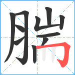 腨笔顺分解图片11