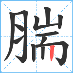 腨笔顺分解图片13