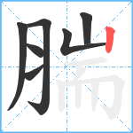 腨笔顺分解图片7