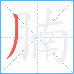 腩笔顺分解图片1