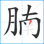 腩笔顺分解图片10