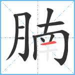 腩笔顺分解图片11