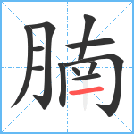 腩笔顺分解图片12