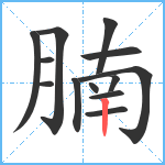 腩笔顺分解图片13