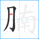 腩笔顺分解图片3