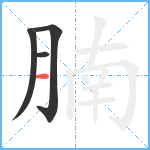 腩笔顺分解图片4