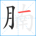 腩笔顺分解图片5