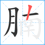 腩笔顺分解图片6