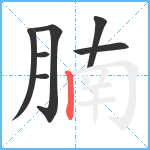 腩笔顺分解图片7