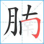 腩笔顺分解图片8