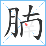 腩笔顺分解图片9