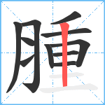 腫笔顺分解图片11