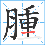 腫笔顺分解图片12