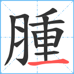 腫笔顺分解图片13