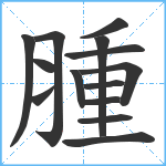 腫笔顺分解图片14