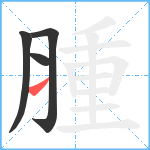 腫笔顺分解图片4