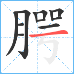 腭笔顺分解图片12