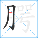 腭笔顺分解图片3