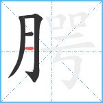 腭笔顺分解图片4