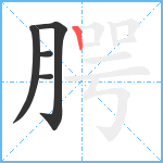 腭笔顺分解图片5