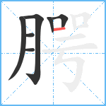 腭笔顺分解图片7