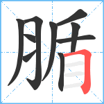 腯笔顺分解图片10