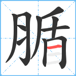 腯笔顺分解图片11