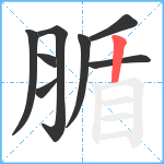 腯笔顺分解图片8