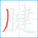 腱笔顺分解图片1