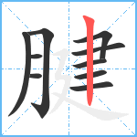 腱笔顺分解图片10