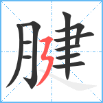 腱笔顺分解图片11