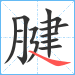 腱笔顺分解图片12