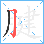 腱笔顺分解图片2