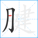 腱笔顺分解图片3