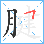 腱笔顺分解图片5