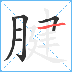 腱笔顺分解图片6