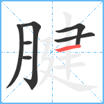 腱笔顺分解图片7