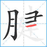 腱笔顺分解图片8